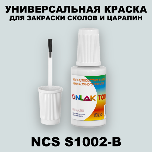 NCS S1002-B КРАСКА ДЛЯ СКОЛОВ, флакон с кисточкой