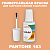 PANTONE 163 C КРАСКА ДЛЯ СКОЛОВ, полуматовая, флакон 20мл с кисточкой