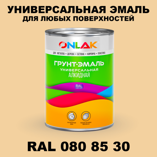 Краска цвет RAL DESIGN 808530