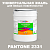 Краска цвет PANTONE 2331 C, 20кг