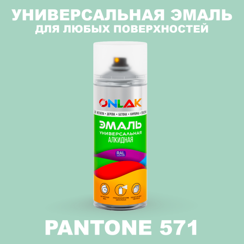 Аэрозольная краска ONLAK, цвет PANTONE 571 C, спрей 520мл