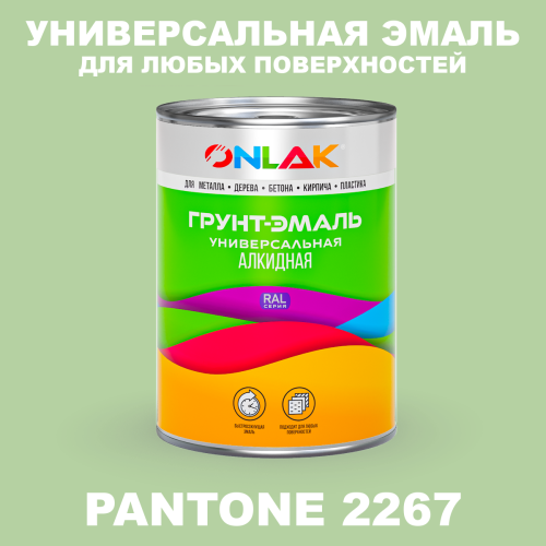 Краска цвет PANTONE 2267 C