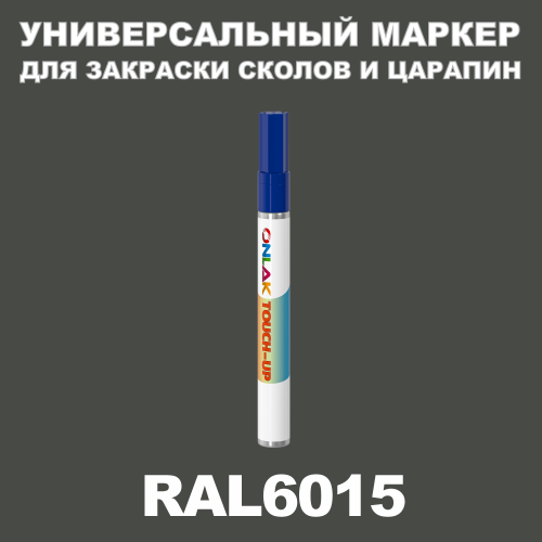 RAL 6015   