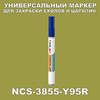 NCS 3855-Y95R   