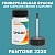 PANTONE 2220 C КРАСКА ДЛЯ СКОЛОВ, матовая, флакон 50мл с кисточкой