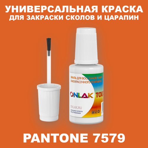 PANTONE 7579 C КРАСКА ДЛЯ СКОЛОВ, флакон с кисточкой