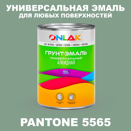 Краска цвет PANTONE 5565 C