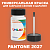 PANTONE 2027 C КРАСКА ДЛЯ СКОЛОВ, полуматовая, флакон 50мл с кисточкой