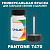 PANTONE 7470 C КРАСКА ДЛЯ СКОЛОВ, флакон 50мл с кисточкой