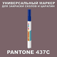 PANTONE 437C МАРКЕР С КРАСКОЙ