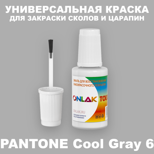 PANTONE Cool Gray 6 C КРАСКА ДЛЯ СКОЛОВ, флакон с кисточкой