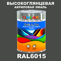 Высокоглянцевая акриловая 2К эмаль ONLAK, цвет RAL6015, в комплекте с отвердителем