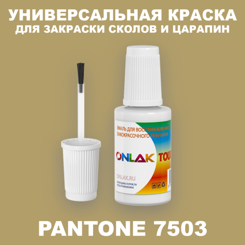 PANTONE 7503 C КРАСКА ДЛЯ СКОЛОВ, флакон с кисточкой