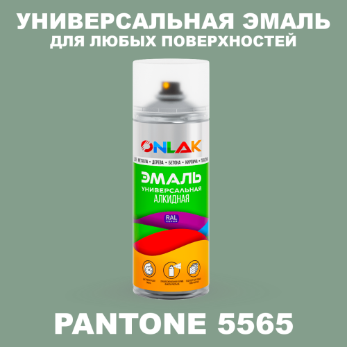 Аэрозольная краска ONLAK, цвет PANTONE 5565 C, спрей 520мл