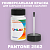PANTONE 2562 C КРАСКА ДЛЯ СКОЛОВ, матовая, флакон 50мл с кисточкой