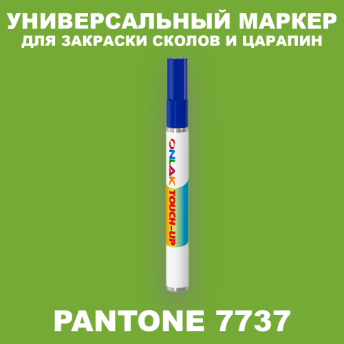 PANTONE 7737 C МАРКЕР С КРАСКОЙ