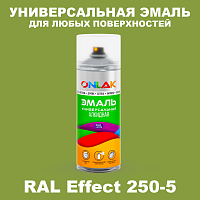 Аэрозольные краски ONLAK, цвет RAL Effect 250-5, спрей 520мл