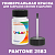 PANTONE 2583 C КРАСКА ДЛЯ СКОЛОВ, полуматовая, флакон 50мл с кисточкой