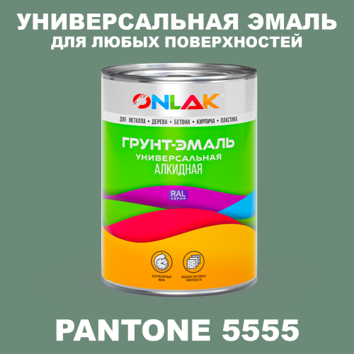 Краска цвет PANTONE 5555 C