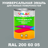 Краска цвет RAL DESIGN 2006005