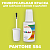 PANTONE 584 C КРАСКА ДЛЯ СКОЛОВ, флакон с кисточкой