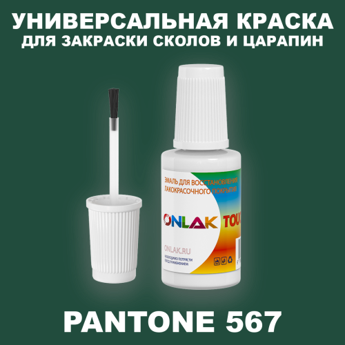 PANTONE 567 C КРАСКА ДЛЯ СКОЛОВ, флакон с кисточкой
