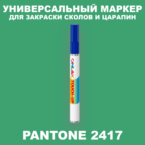 PANTONE 2417 C МАРКЕР С КРАСКОЙ