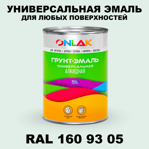 Краска цвет RAL DESIGN 1609305