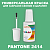 PANTONE 2414 C КРАСКА ДЛЯ СКОЛОВ, флакон с кисточкой