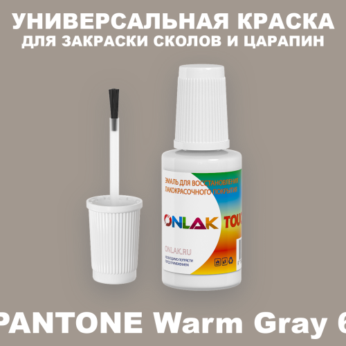 PANTONE Warm Gray 6 C КРАСКА ДЛЯ СКОЛОВ, флакон с кисточкой