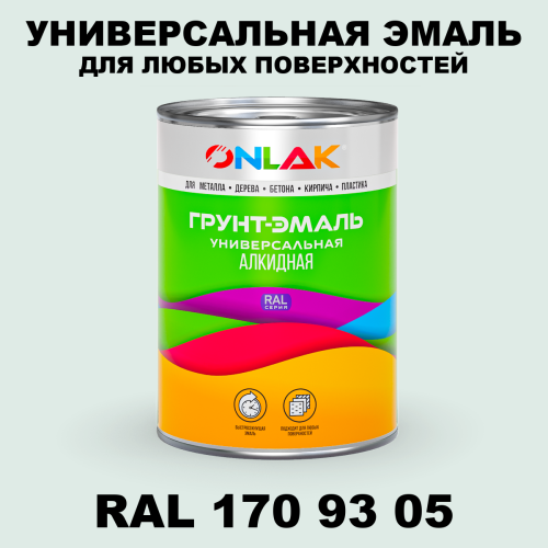 Краска цвет RAL DESIGN 1709305