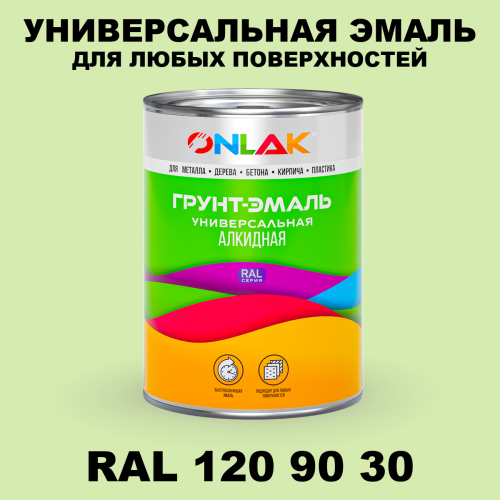 Краска цвет RAL DESIGN 1209030