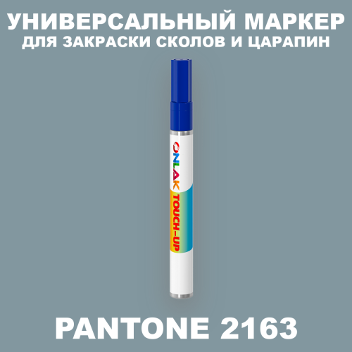 PANTONE 2163 C МАРКЕР С КРАСКОЙ