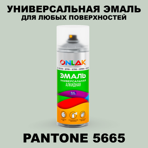 Аэрозольная краска ONLAK, цвет PANTONE 5665 C, спрей 520мл