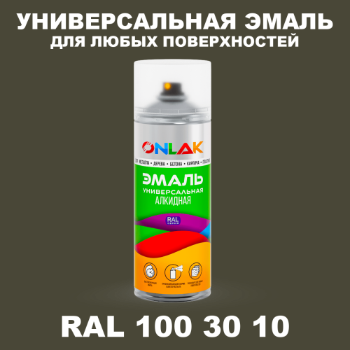 Аэрозольная краска, цвет RAL Design 1003010, спрей 520мл