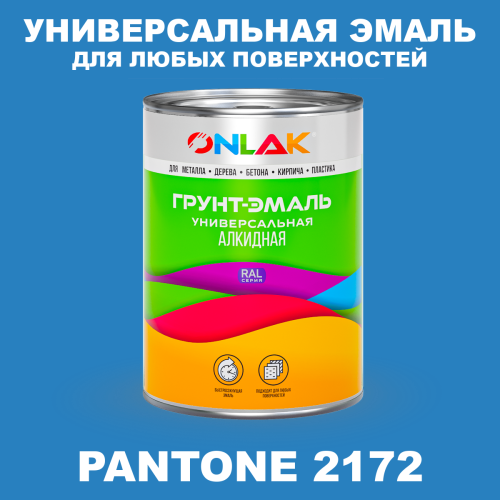 Краска цвет PANTONE 2172 C