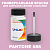 PANTONE 686 C КРАСКА ДЛЯ СКОЛОВ, матовая, флакон 50мл с кисточкой