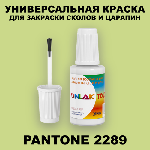 PANTONE 2289 C КРАСКА ДЛЯ СКОЛОВ, флакон с кисточкой