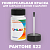 PANTONE 522 C КРАСКА ДЛЯ СКОЛОВ, полуматовая, флакон 50мл с кисточкой