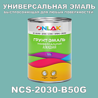 Краска цвет NCS 2030-B50G