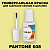 PANTONE 608 C КРАСКА ДЛЯ СКОЛОВ, матовая, флакон 20мл с кисточкой