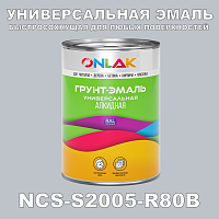 Краска цвет NCS S2005-R80B