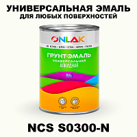 Краска цвет NCS S0300-N