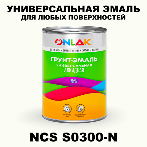 Краска цвет NCS S0300-N