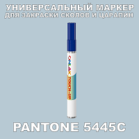 PANTONE 5445C   