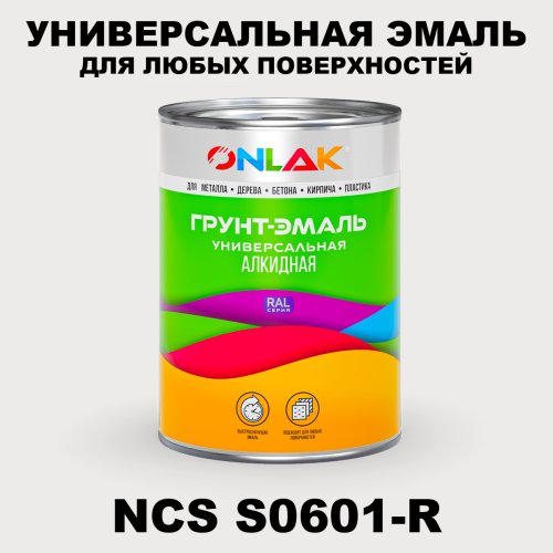 Краска цвет NCS S0601-R