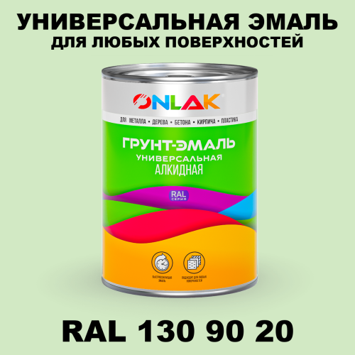 Краска цвет RAL DESIGN 1309020