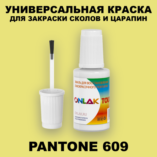 PANTONE 609 C КРАСКА ДЛЯ СКОЛОВ, флакон с кисточкой