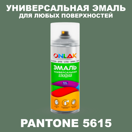 Аэрозольная краска ONLAK, цвет PANTONE 5615 C, спрей 520мл
