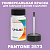 PANTONE 2573 C КРАСКА ДЛЯ СКОЛОВ, матовая, флакон 50мл с кисточкой